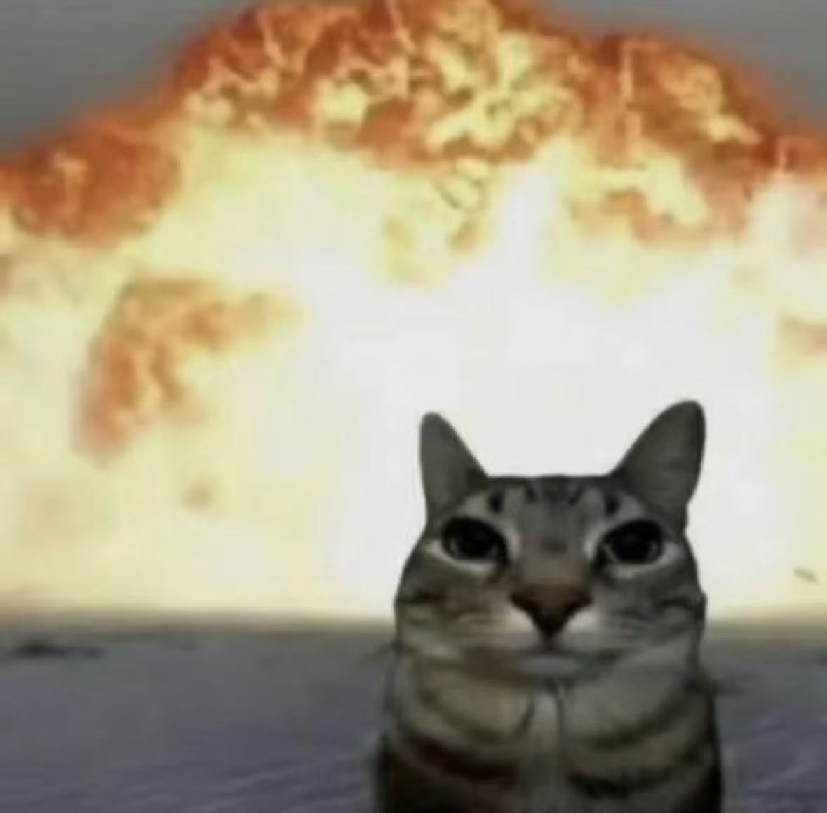 image-20260305202125761