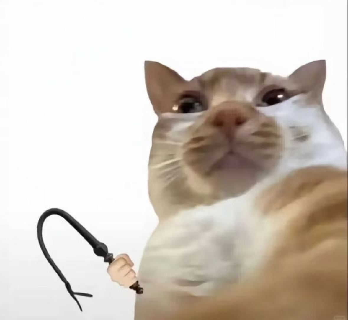 image-20260305202125761